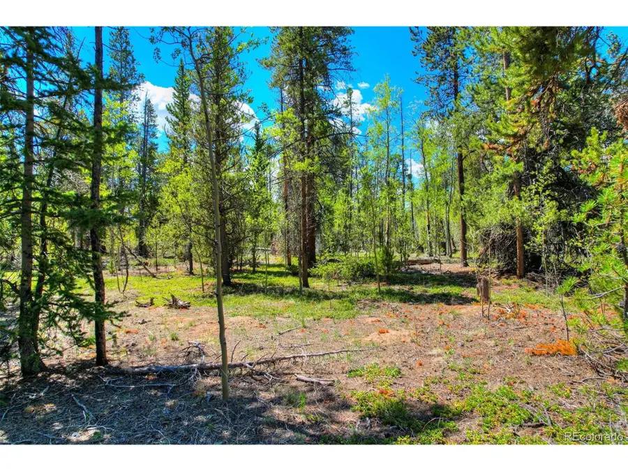 Address Withheld By Seller, Fairplay, CO 80440 - Image #3