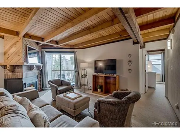 8500 Ryan Gulch Rd #101, Silverthorne, CO 80498