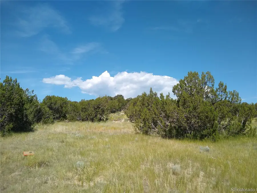 Carlson Rd, Walsenburg, CO 81089 - #2