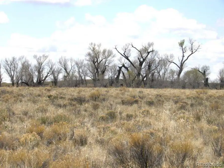 558 Cottonwood Creek Rd, Crestone, CO 81131 - Image #2