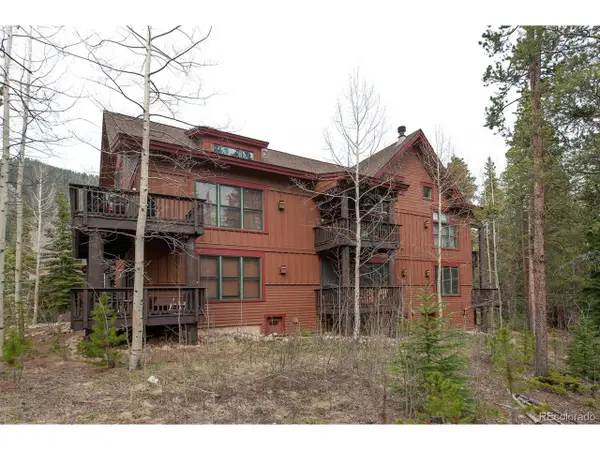 28 Trappers Crossing Trl #8760, Dillon, CO 80435