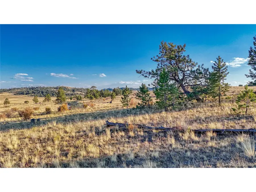912 Chickamauga Trl, Hartsel, CO 80449 - Image #3