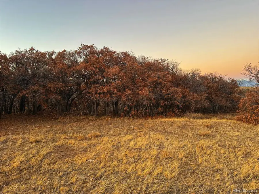 168 Colorado Land And Grazing, Gardner, CO 81040 - #3