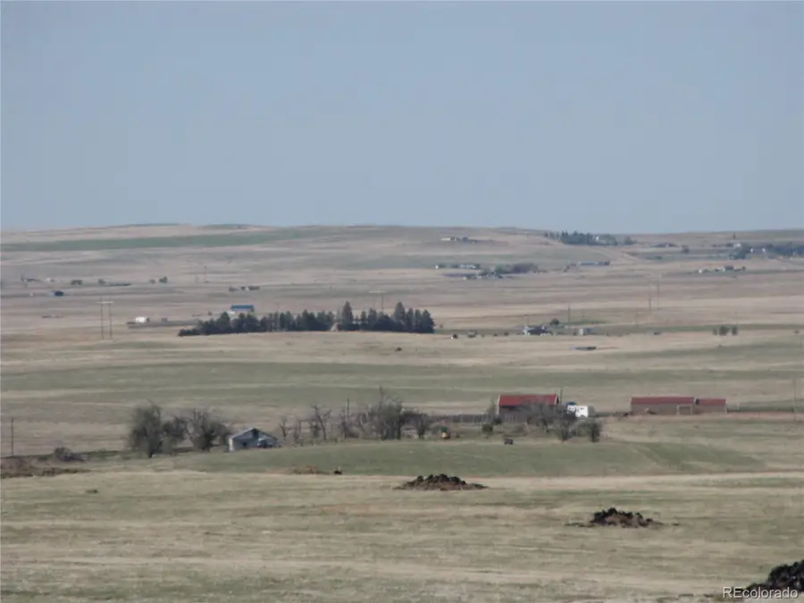 31755 Vorenberg Rd, Calhan, CO 80808 - #3