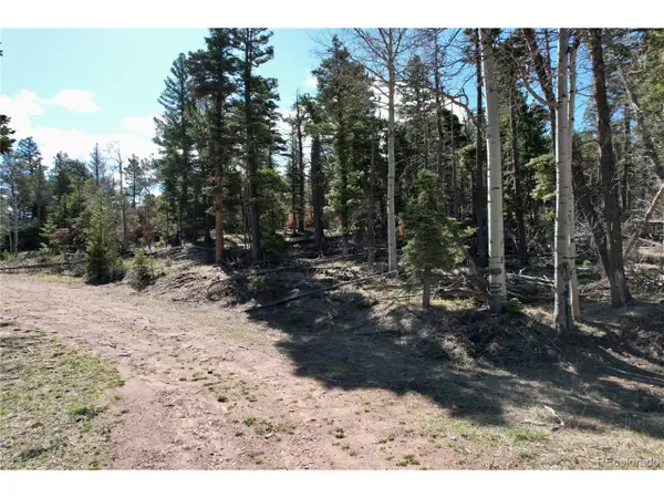 2966 Kemper Loop, Fort Garland, CO 81133