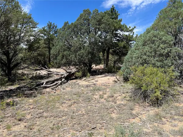216 West View Rd, Cotopaxi, CO 81223