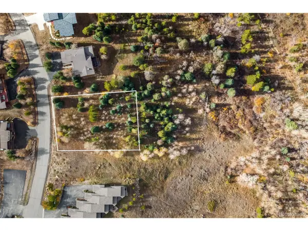 228 Fawn Ct, Silverthorne, CO 80498