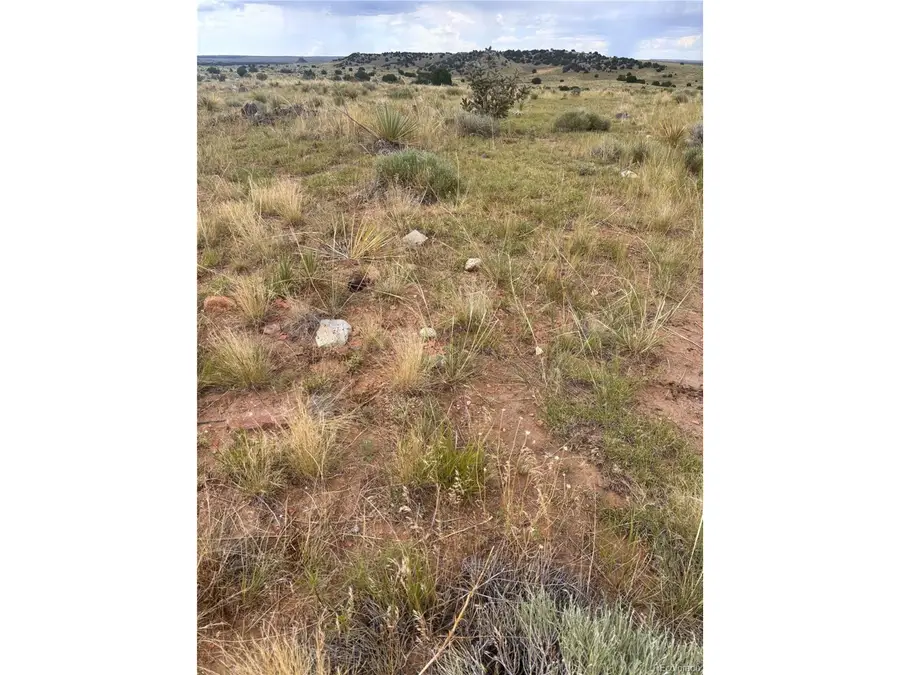 0 Lot 100 Colorado Land And Livestock Ranch, Walsenburg, CO 81069 - #3