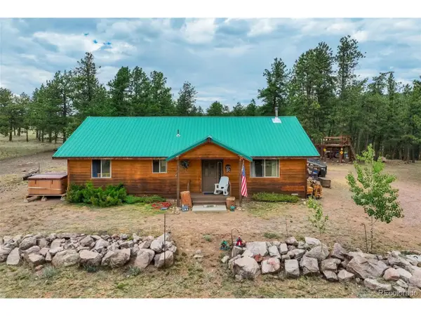 141 Cabin Ln, Guffey, CO 80820