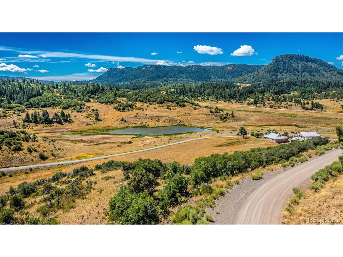 646 Henry's Lake Dr, Chromo, CO 81128 - #1