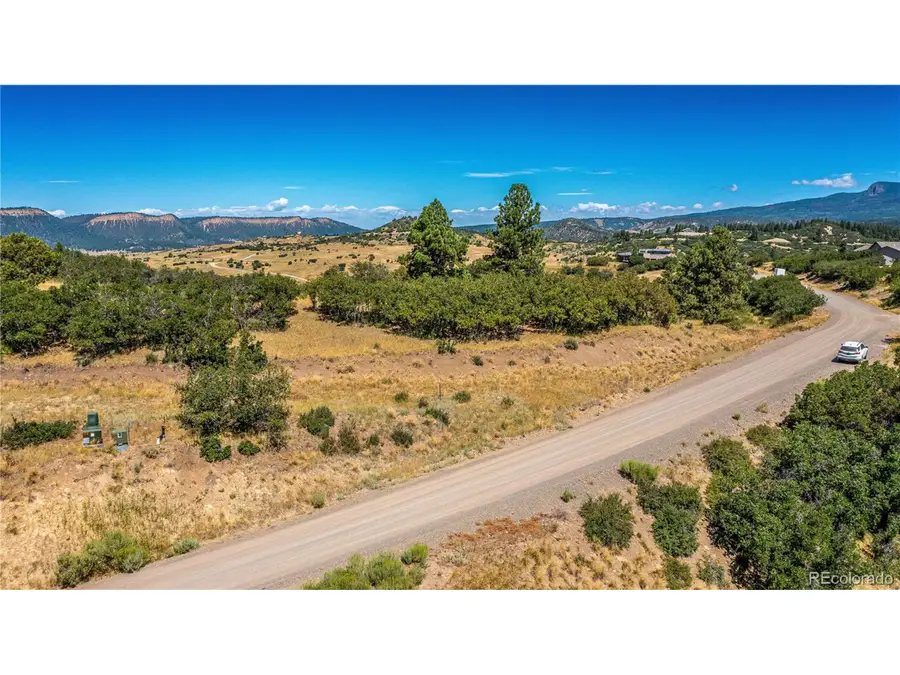 646 Henry's Lake Dr, Chromo, CO 81128 - #3