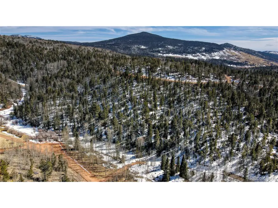 1601 May Queen Dr, Cripple Creek, CO 80813 - #2