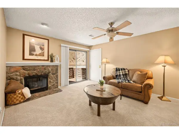 1890 Argentine St #303, Georgetown, CO 80444