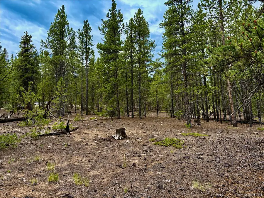 Address Withheld By Seller, Twin Lakes, CO 81251 - Image #2