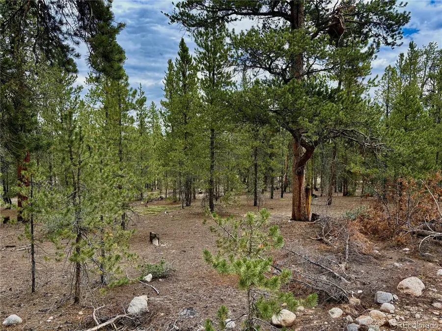 Address Withheld By Seller, Twin Lakes, CO 81251 - Image #3