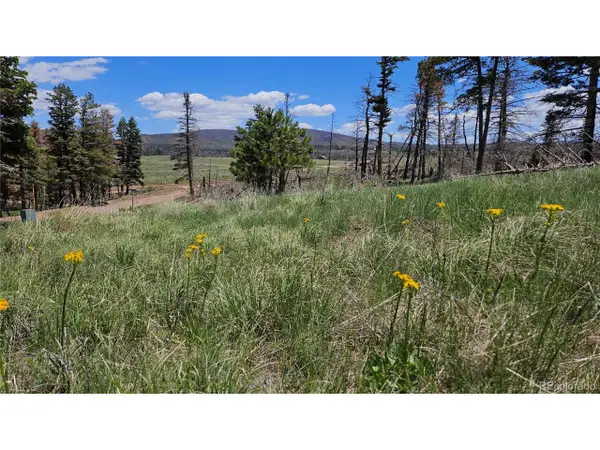 448 Wagon Mesa Loop, Fort Garland, CO 81133