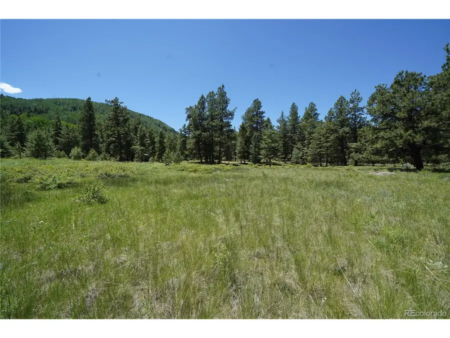136 Elk Meadow Run, Antonito, CO 81120 - Image #3
