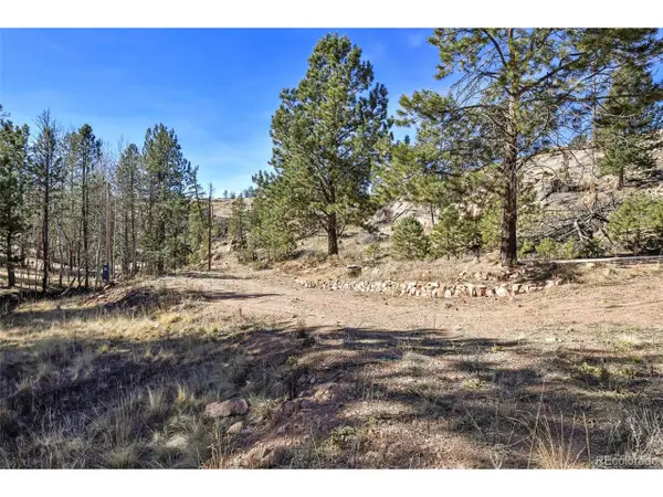 238 Chateau West Dr, Florissant, CO 80816