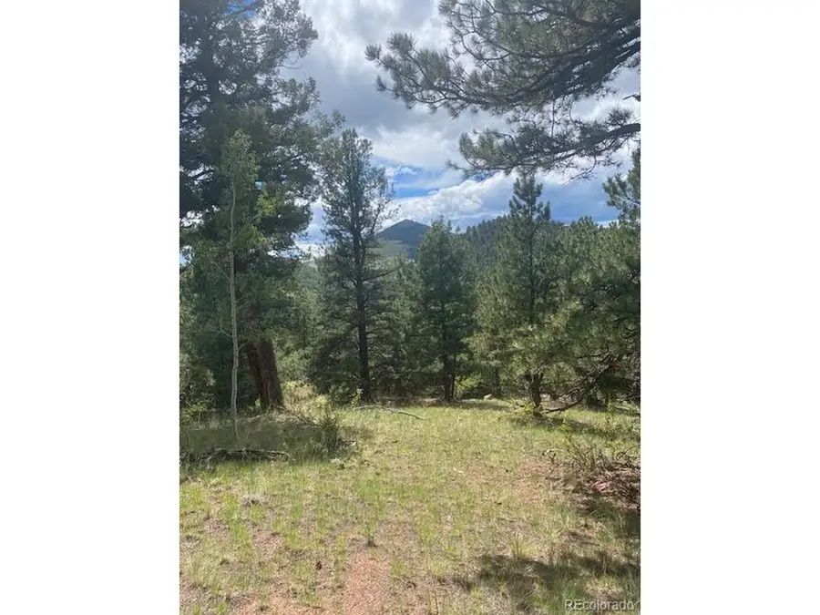 216 Troy Dr, Cripple Creek, CO 80813 - Image #2