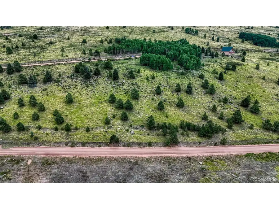 972 Anges Dr, Cripple Creek, CO 80813 - #2