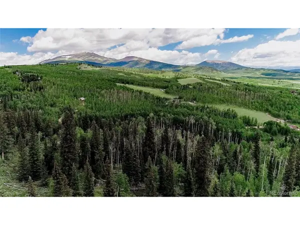 1047 Lumberjack Rd, Fairplay, CO 80440