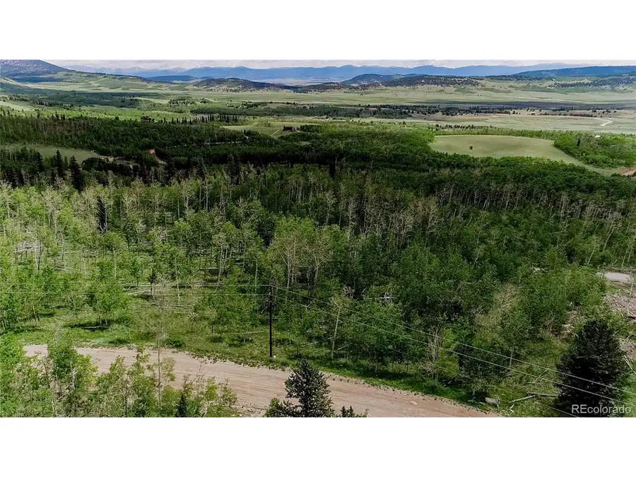 1047 Lumberjack Rd, Fairplay, CO 80440 - #2