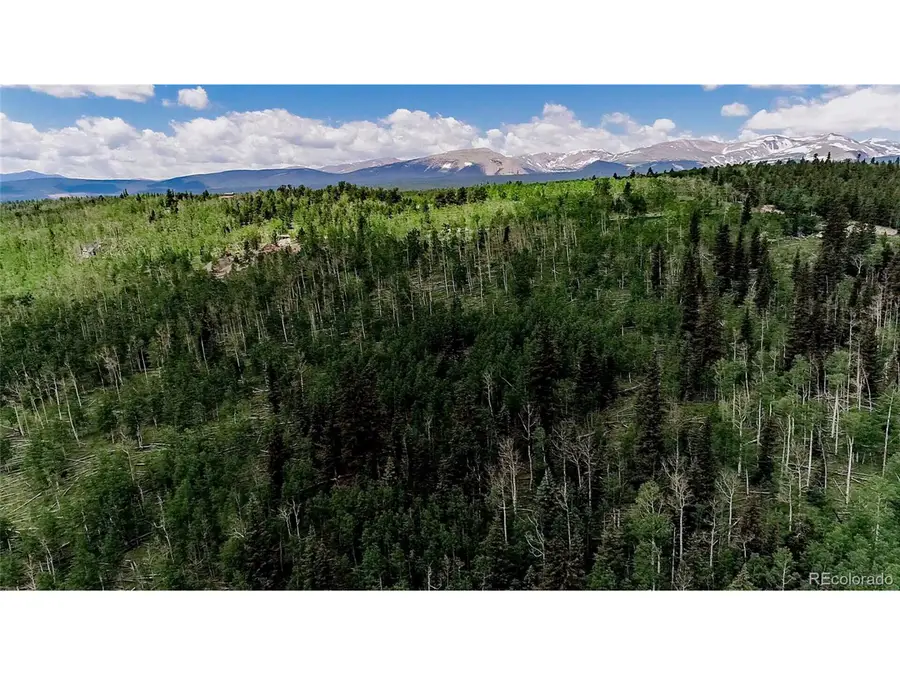 1047 Lumberjack Rd, Fairplay, CO 80440 - #3