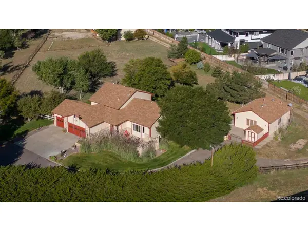 11665 Lewistown St, Commerce City, CO 80022