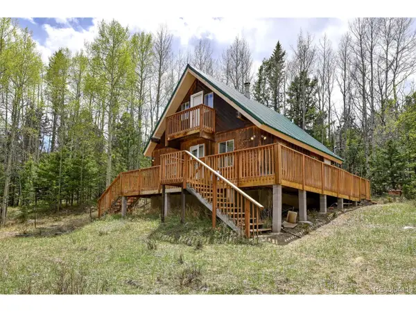 454 Eagle Rock Rd, Florissant, CO 80816