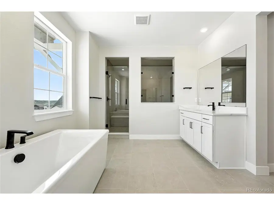 1672 Fox Trotter Pt, Castle Rock, CO 80104 - Image #3