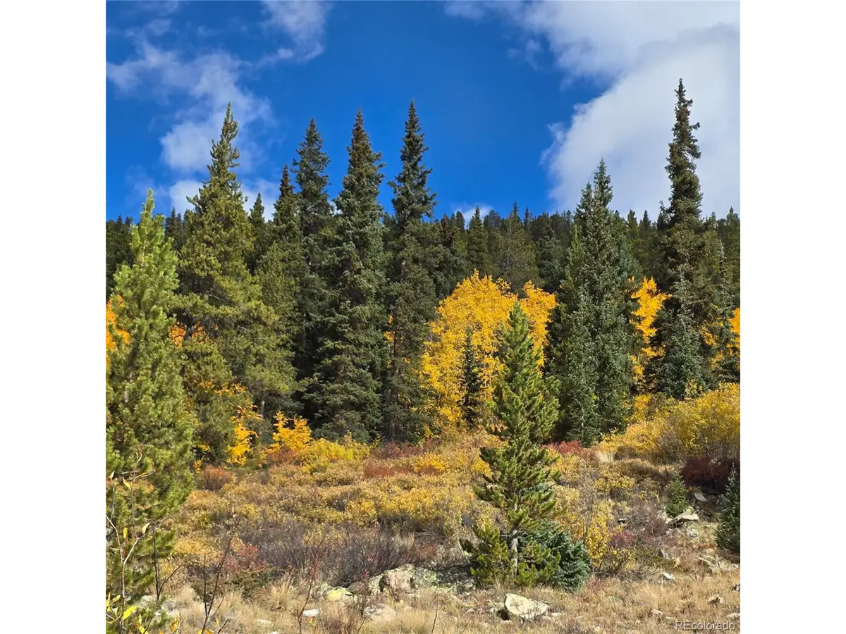 5347 Monitor Lode Claims, Leadville, CO 80461 - #1