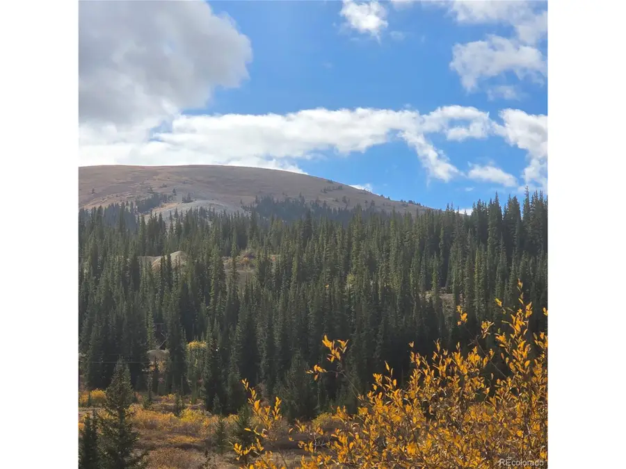 5347 Monitor Lode Claims, Leadville, CO 80461 - #2