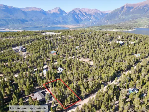776 Birch Dr, Twin Lakes, CO 80461