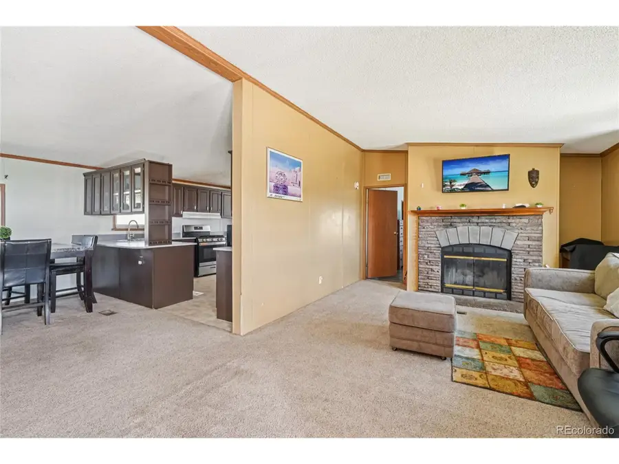 265 Trout Rd, Fairplay, CO 80440 - Image #3