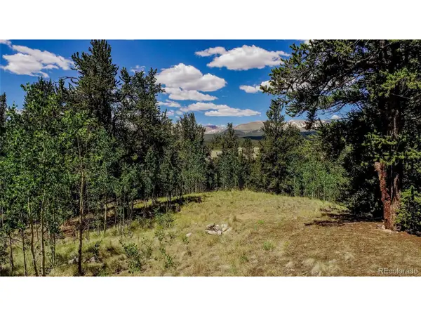 308 Quarry Rd, Fairplay, CO 80440