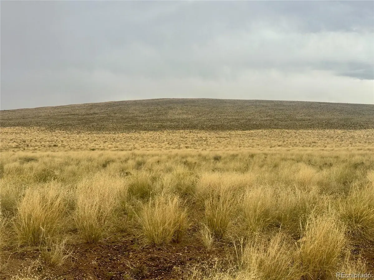 11 Alyssum Cir, Blanca, CO 81123 - Image #1