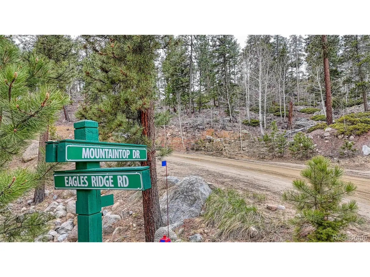 30176 Mountaintop Dr, Buena Vista, CO 81211 - #1