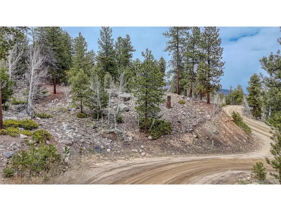 30176 Mountaintop Dr, Buena Vista, CO 81211 - #2