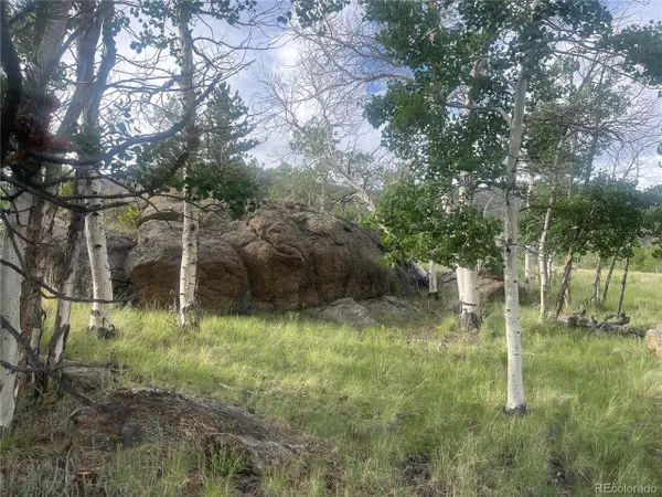 Address Withheld By Seller, Lake George, CO 80827