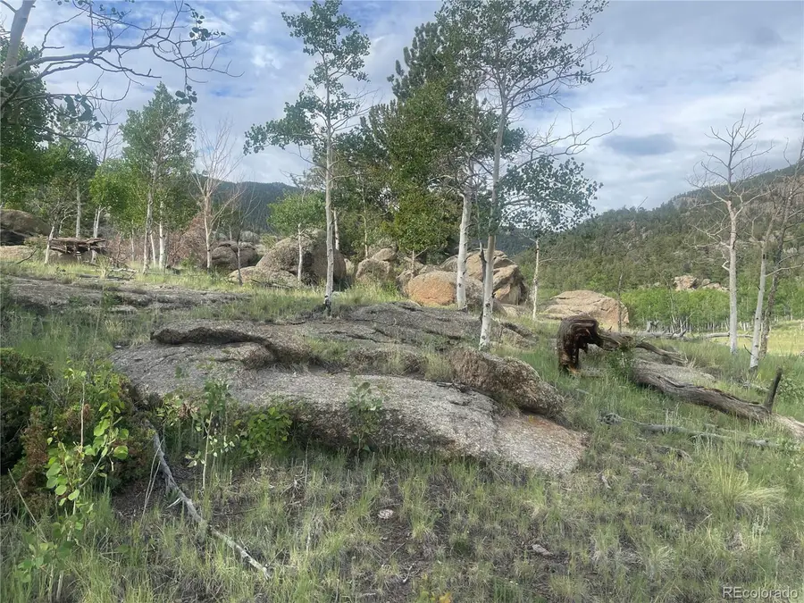 Address Withheld By Seller, Lake George, CO 80827 - Image #2