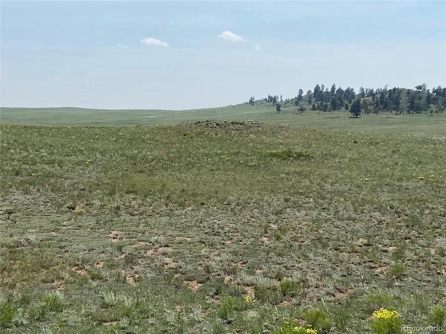 1166 Chicha Rd, Hartsel, CO 80449 - #2