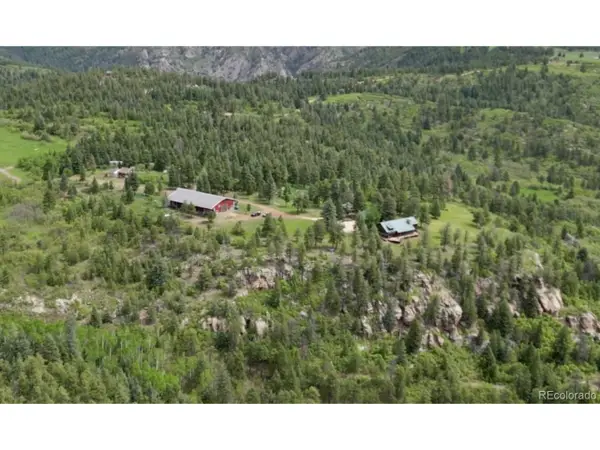 8834 Deiffendeffer Rd, Rye, CO 81069