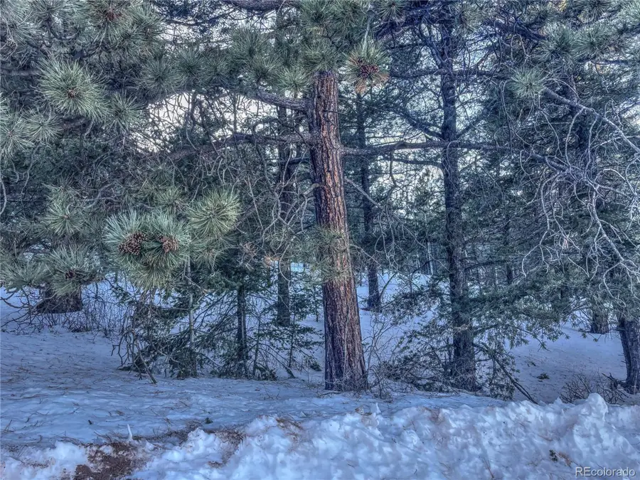 1174 Monarch Dr, Cripple Creek, CO 80813 - Image #2