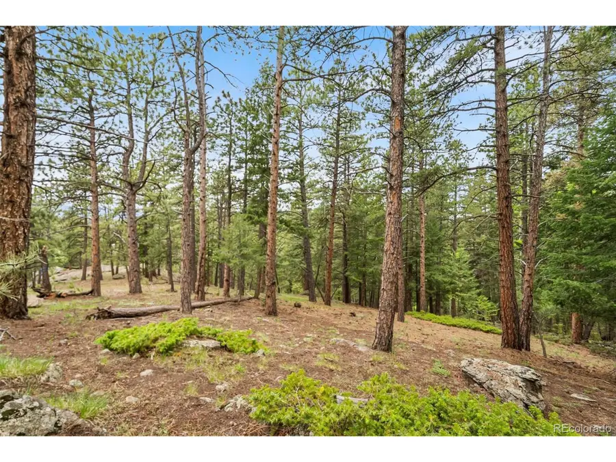5825 High Dr, Evergreen, CO 80439 - Image #2