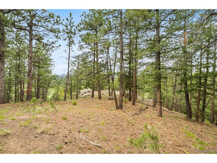 5825 High Dr, Evergreen, CO 80439 - Image #3