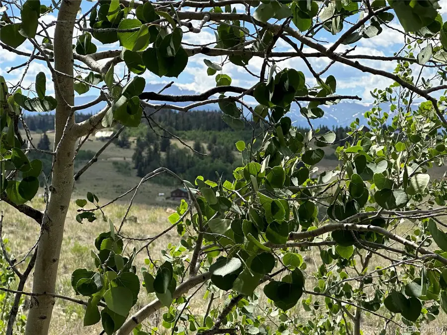 98 Wabeno Ct, Jefferson, CO 80456 - #3