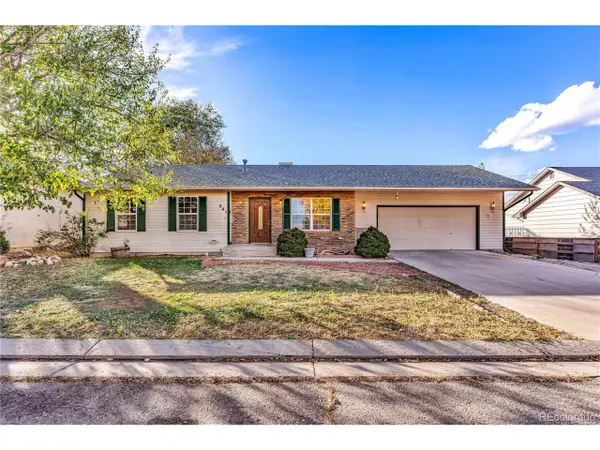 541 N Robinson Ave, Florence, CO 81226
