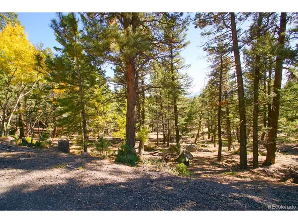 30402 Kings Vly, Conifer, CO 80433