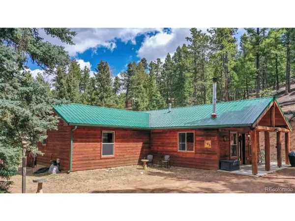 155 Squilchuck Trl, Woodland Park, CO 80863