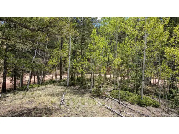 1058 Bennett Dr, Cripple Creek, CO 80813